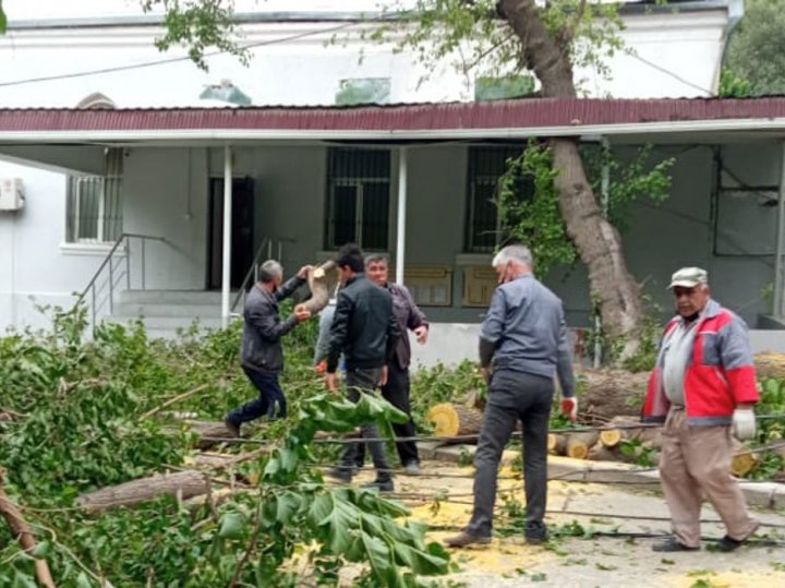 Bakıda küləyin fəsadlarından 11 nəfər xəsarət alıb