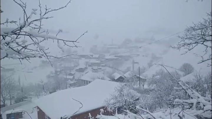 Güclü qar səbəbindən Cəlilabad-Yardımlı yolu bağlandı -