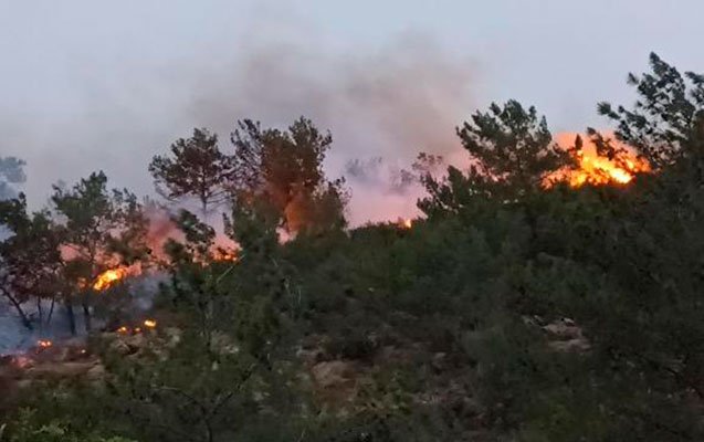 Türkiyənin Bodrum rayonunda meşə yanır