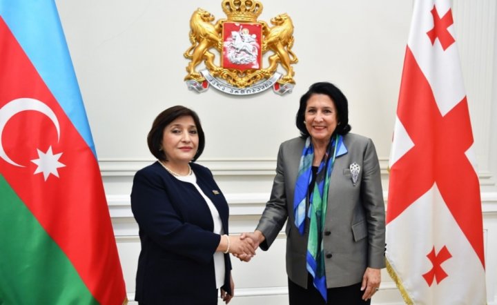 Azərbaycan Milli Məclisinin sədri Gürcüstan Prezidenti ilə görüşdü