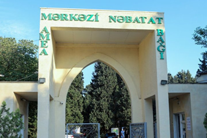 Mərkəzi Nəbatat Bağı yenidən qurulacaq