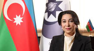 Ombudsman 30 minə təyyarə icarəyə götürüb? -