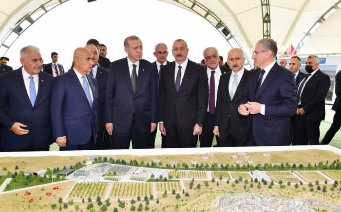 Azərbaycan-Türkiyə Dostluq Meşəsinin sahəsi 20 hektara yaxın olacaq
