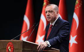 Ərdoğan Fransa Senatının qətnaməsi haqda: