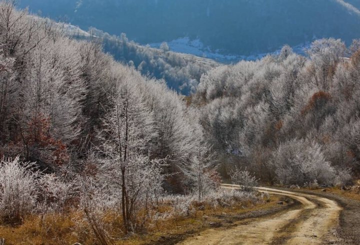 Şuşa, Kəlbəcər və Laçında hava dumanlı olacaq