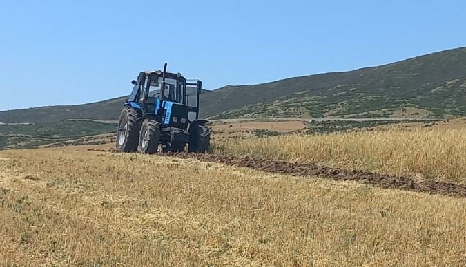 Kənd təsərrüfatı istehsalçılarına yeni güzəştlər şamil olunacaq