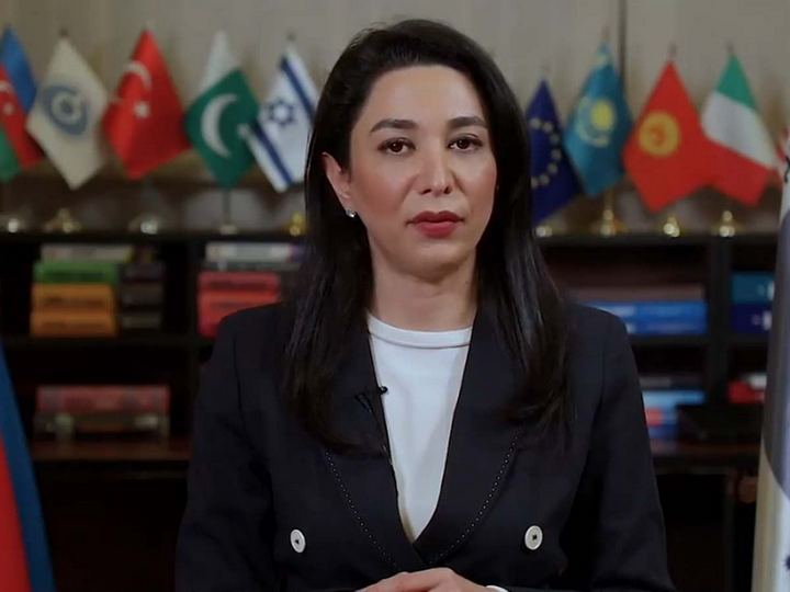 Ombudsman Laçın-Şuşa yolunda keçirilən etiraz aksiyaları ilə bağlı bəyanat yayıb
