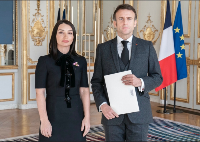 Leyla Abdullayeva Makronla regional vəziyyəti müzakirə edib