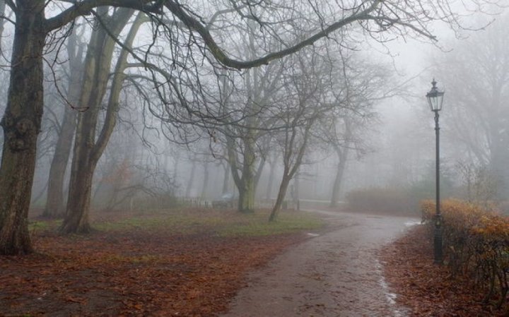 Gələn həftə hava şəraiti sabit keçəcək, temperatur yüksələcək