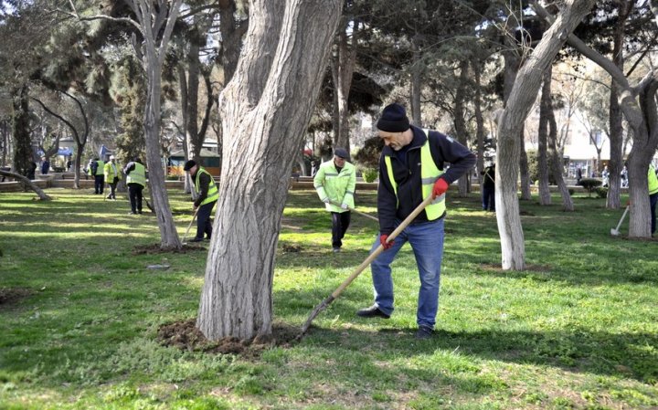 Bakıda "Novruz iməciliyi" keçirilir