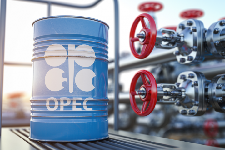 OPEC "inqilab" hazırlayır: