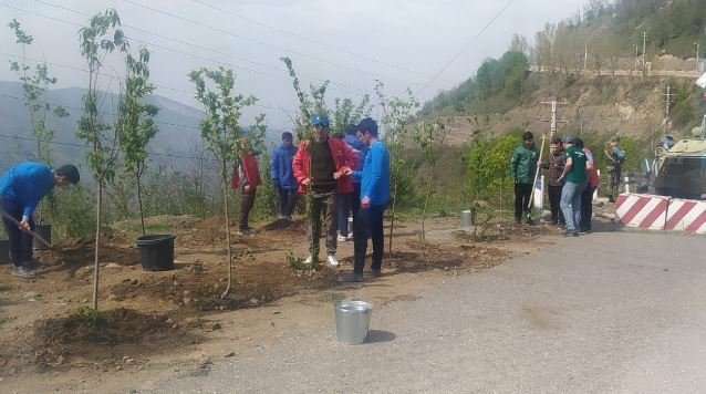 Ekofəallar başa çatan aksiya yerində ağaclar əkib