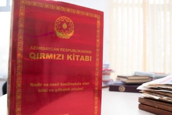 "Qırmızı Kitab"ın lll nəşri tam hazırdır