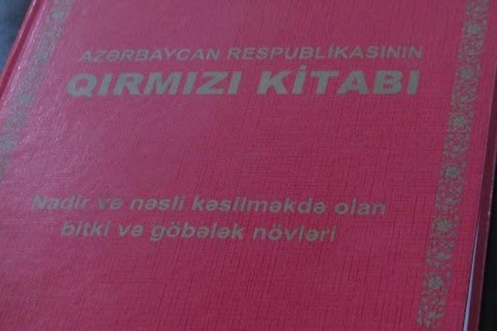 Qarabağ və Şərqi Zəngəzurun “Qırmızı kitab”ının hazırlanması nəzərdə tutulub