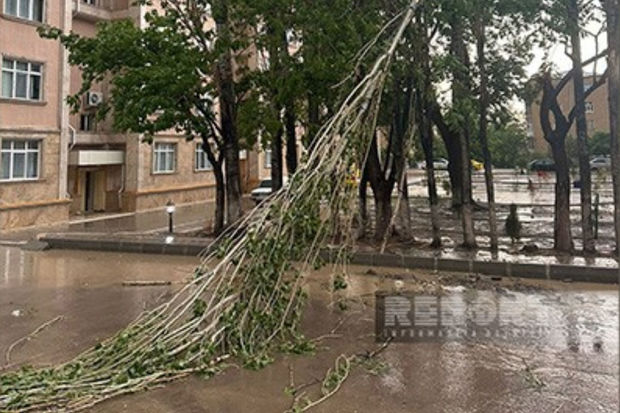 Naxçıvana güclü leysan yağıb, dolu düşüb, küçələri su basıb