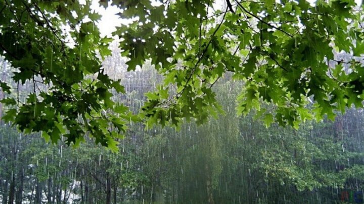 Qeyri-sabit hava şəraiti sabah da davam edəcək