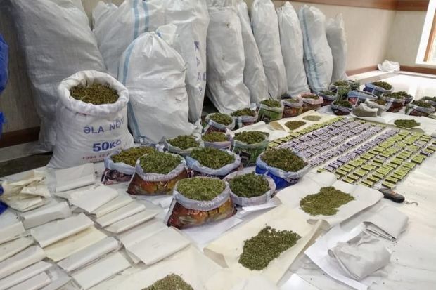 Polis 13 milyon manatlıq narkotiki qanunsuz dövriyyədən çıxardı -