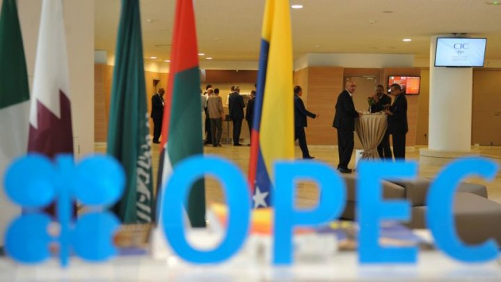 OPEC+ ölkələri 2024-cü il üçün hasilatın səviyyəsi ilə bağlı razılığa gəldilər –