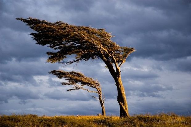 Sabah havanın temperaturu aşağı düşəcək, külək əsəcək