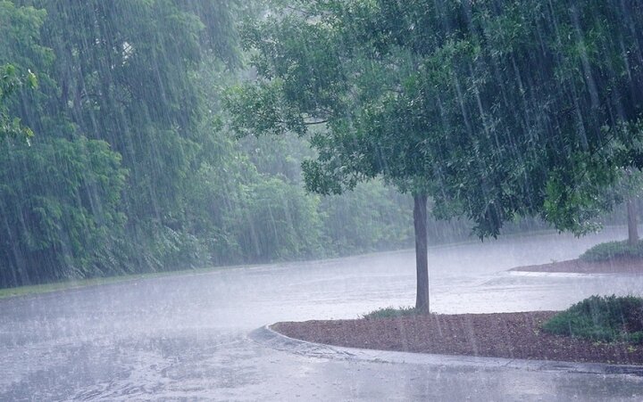 Sabah temperatur aşağı enəcək, yağış yağacaq, şimşək çaxacaq