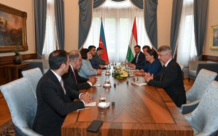 Sahibə Qafarova Macarıstan Prezidenti ilə görüşüb
