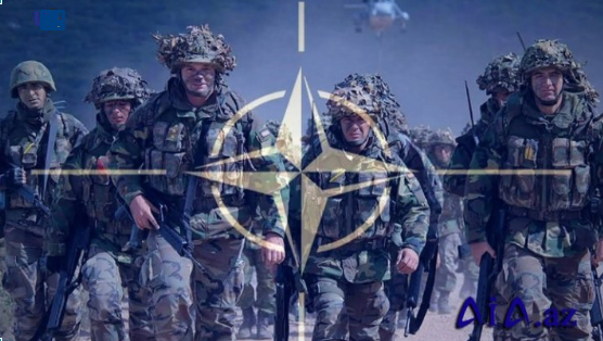 Pentaqonun keçmiş müşaviri: