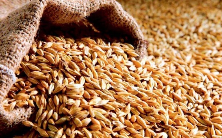Rusiyanın buğda ixracı kəskin azalır -