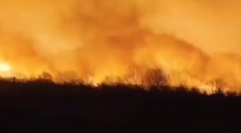 Füzuli və Cəbrayıl rayonları ərazisində güclü yanğın... -