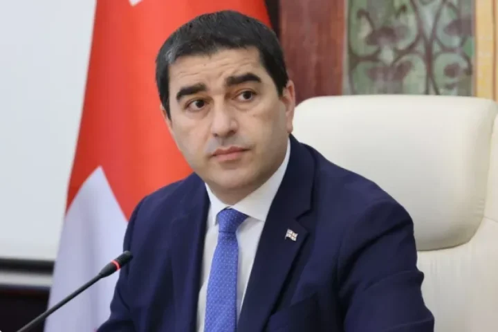 Gürcü spiker: Zelenski nankor insandır, bizim dəstəyimizə layiq deyil