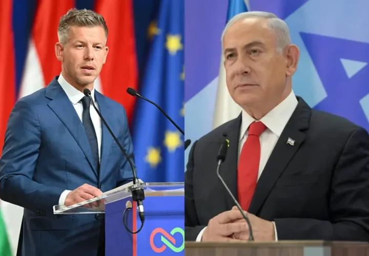 Macarıstanın yeni lideri söz verdi: