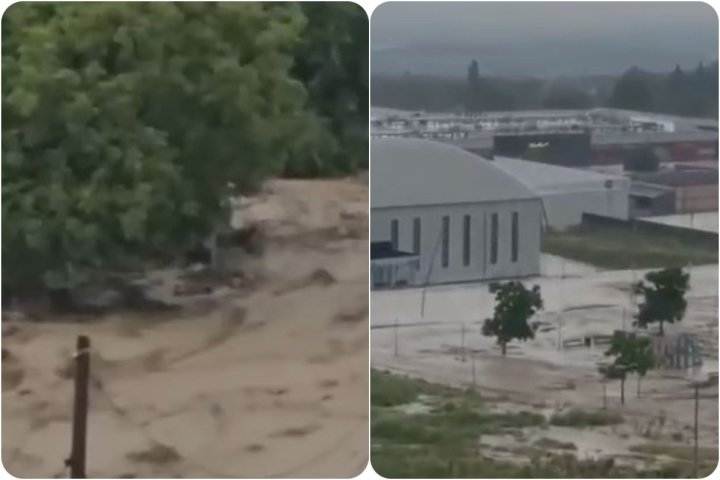 Gürcüstanda sel fəlakəti -
